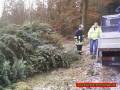 Weihnachtsbaum Sammelaktion