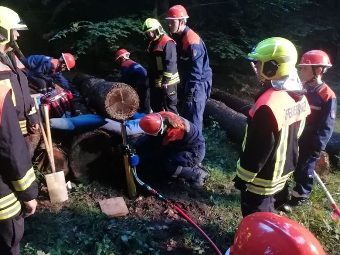 Eine eingeklemmte Person unter einem Baumstamm wurde befreit