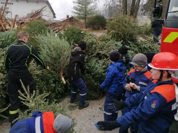 Entsorgung der Weihnachtsbäume